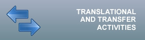 Translational and transfer activities